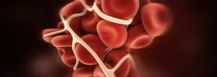 Jak funguje srážení krve – stručně, jasně, ve třech bodech